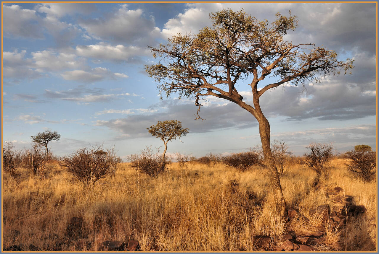 Namibia by P Koelbleitner